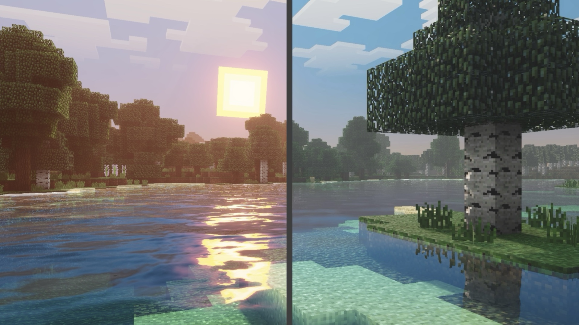 Comparison of Unbound and Revitalized